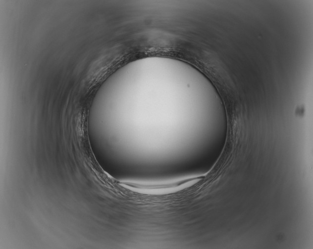 X0000116811250200912181336