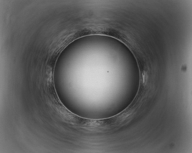 X0000116811251200912181336