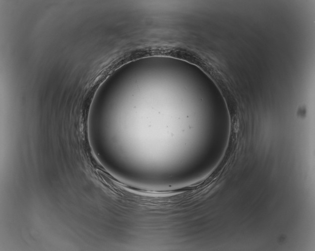 X0000116811252200912181336