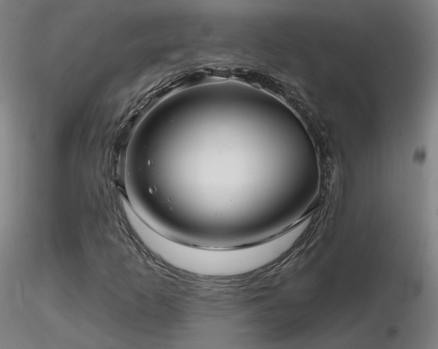 X0000116811253200912181336