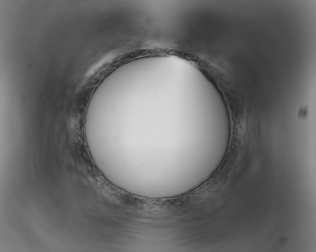 X0000116811254200912181336