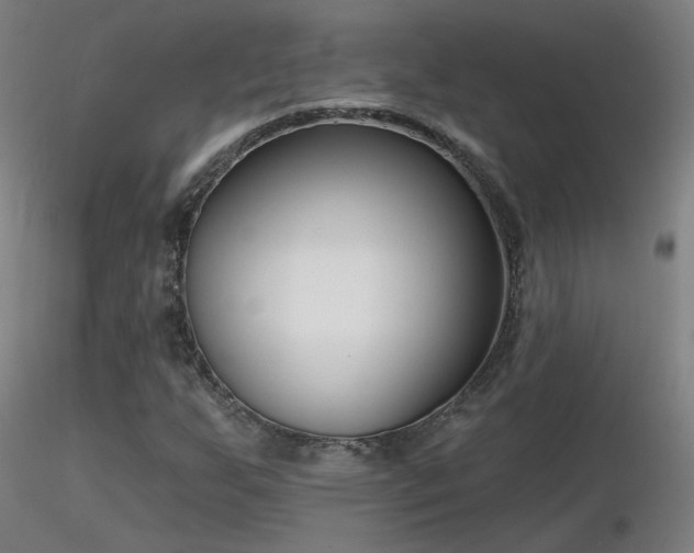 X0000116811255200912181336