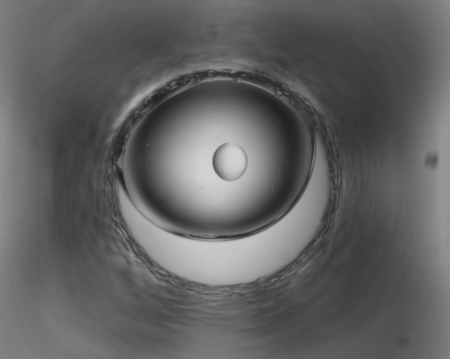 X0000116811256200912181336