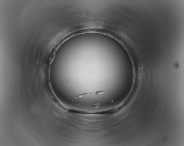 X0000116811257200912181336