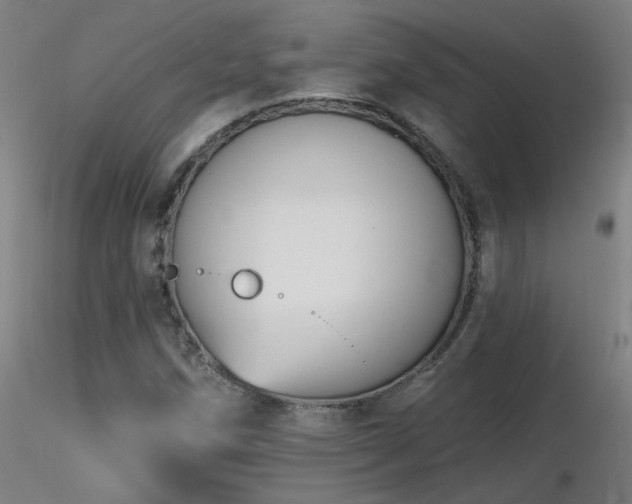 X0000116811258200912181336