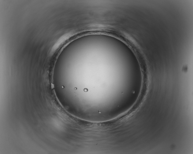 X0000116811259200912181336