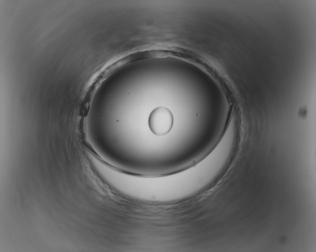 X0000116811260200912181336