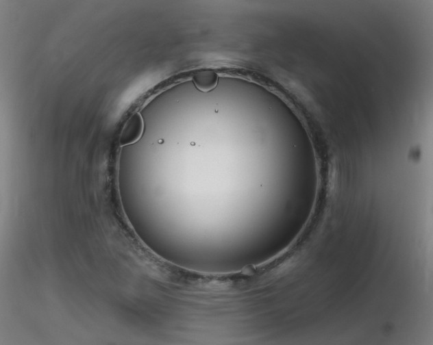 X0000116811261200912181336