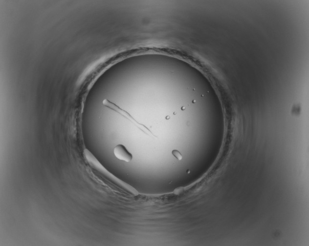 X0000116811262200912181336