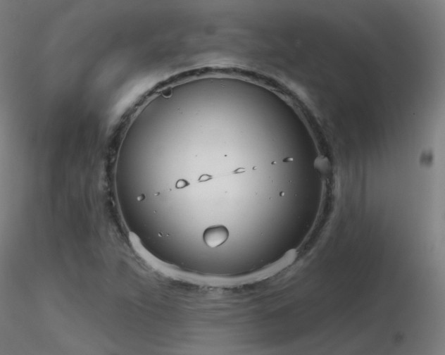 X0000116811263200912181336