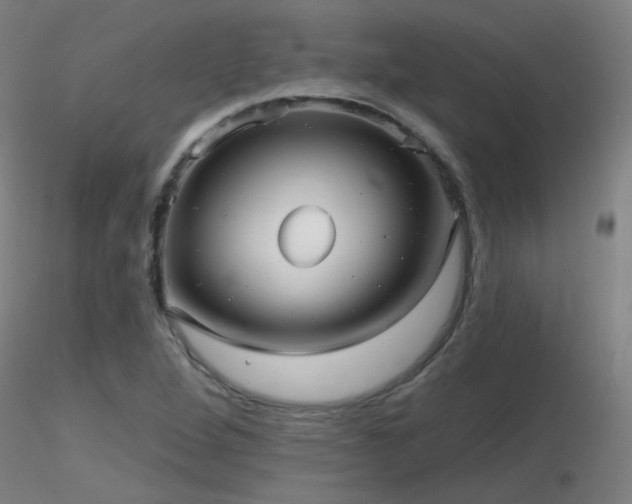 X0000116811264200912181336