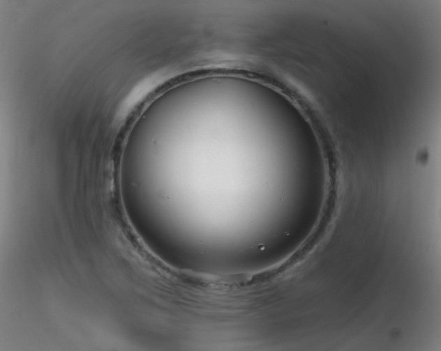 X0000116811267200912181336