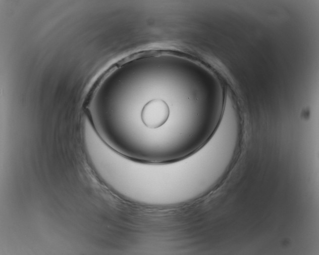X0000116811268200912181336
