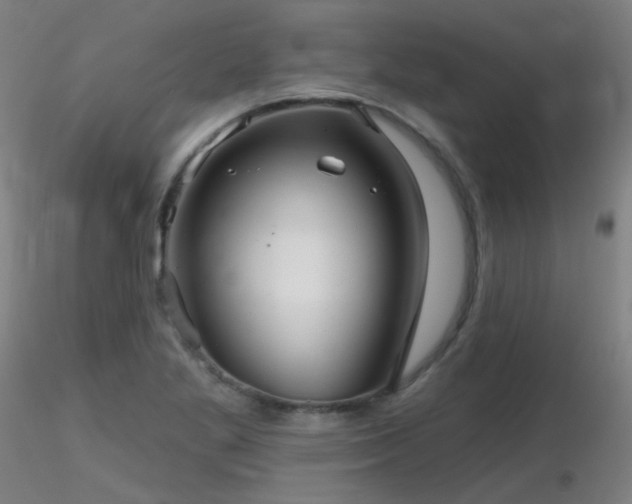 X0000116811269200912181336