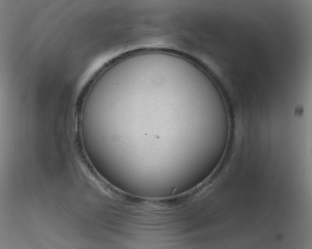 X0000116811270200912181336