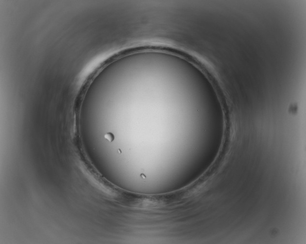 X0000116811271200912181336