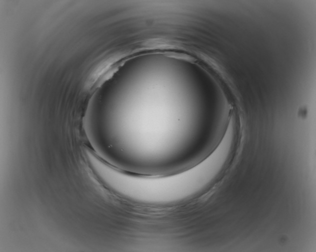 X0000116811273200912181336