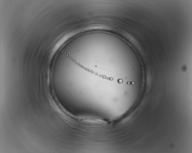 X0000116811274200912181336