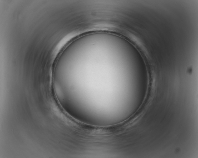 X0000116811275200912181336