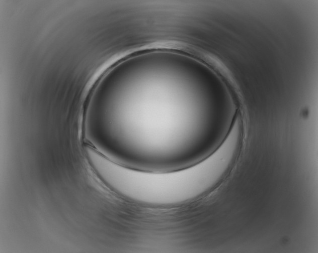 X0000116811276200912181335