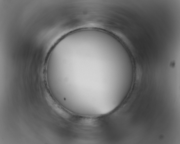 X0000116811278200912181335