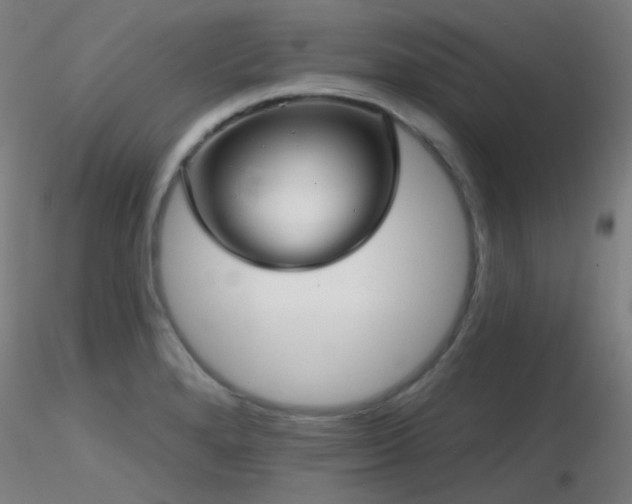 X0000116811280200912181335