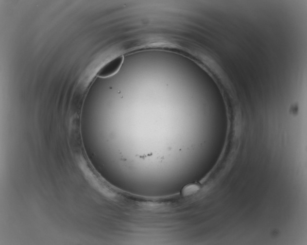 X0000116811281200912181335
