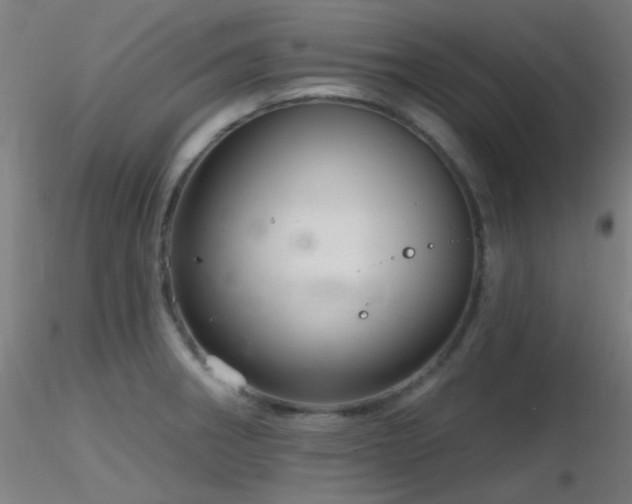 X0000116811282200912181335