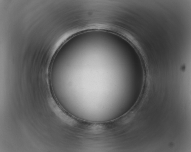 X0000116811283200912181335
