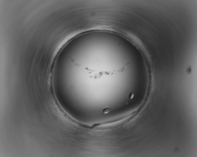 X0000116811284200912181335