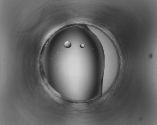 X0000116811285200912181335