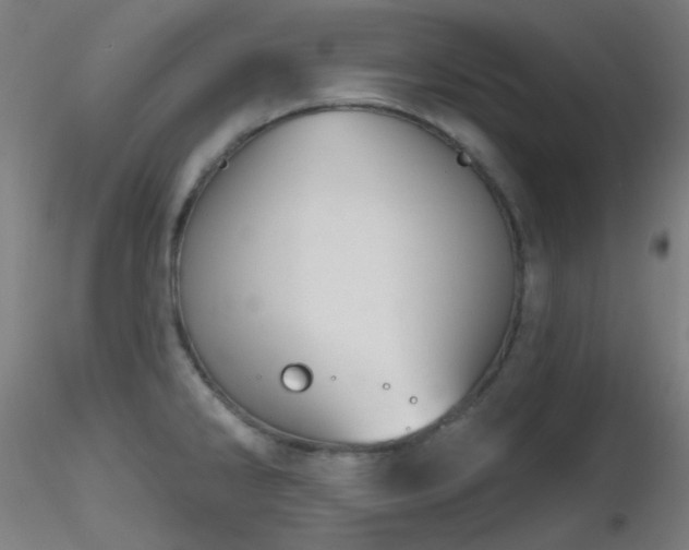 X0000116811286200912181335