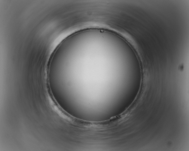 X0000116811287200912181335