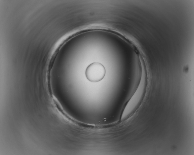X0000116811288200912181335