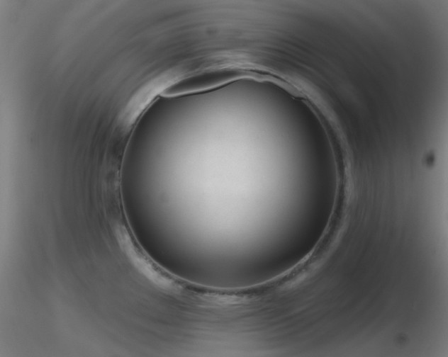 X0000116811289200912181335