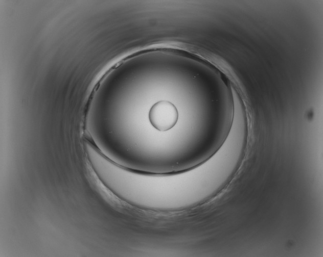X0000116811292200912181335