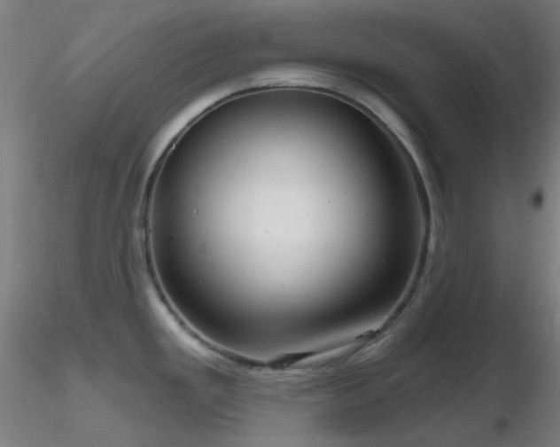X0000116811293200912181335