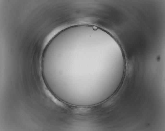 X0000116811294200912181335
