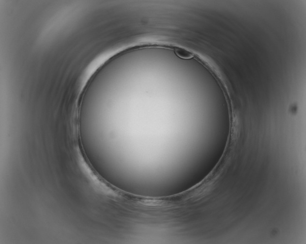X0000116811295200912181335