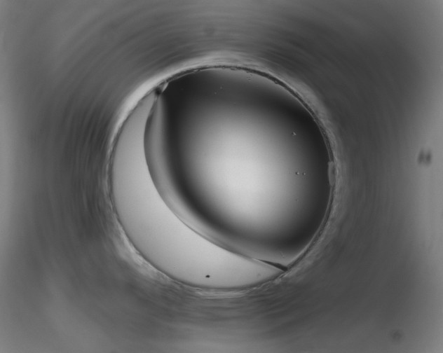 X0000116811296200912181335
