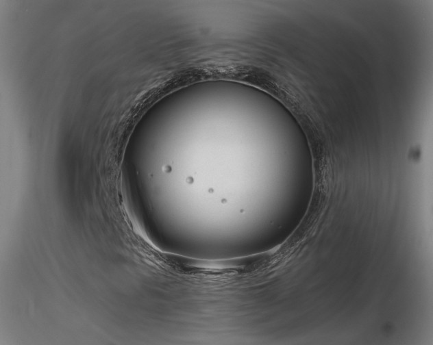 X0000116811297200912181335