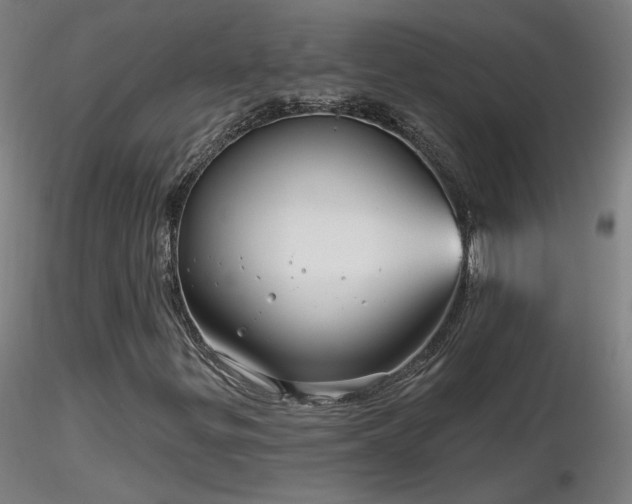X0000116811299200912181335