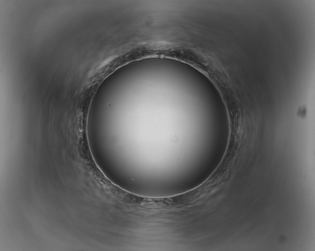 X0000116811301200912181335