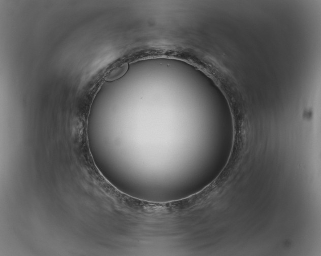 X0000116811302200912181335