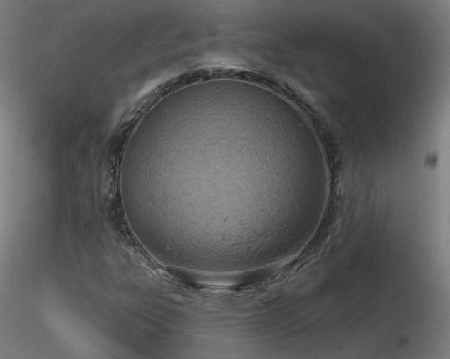 X0000116811303200912181335