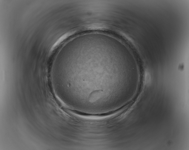 X0000116811306200912181335