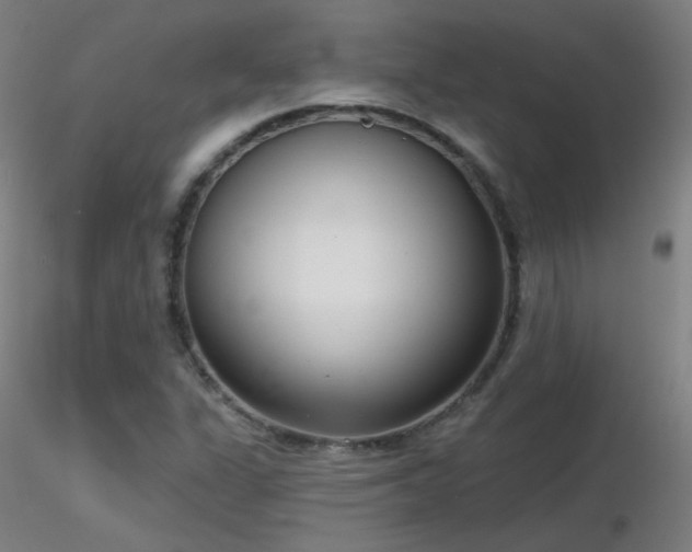X0000116811311200912181335