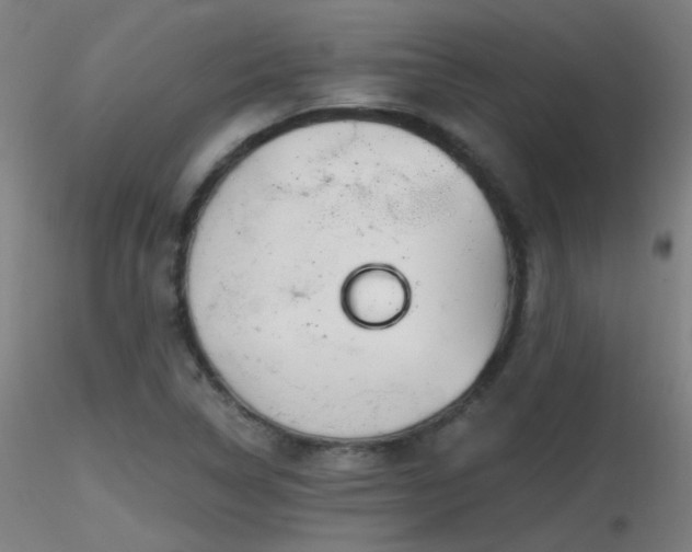 X0000116811314200912181335