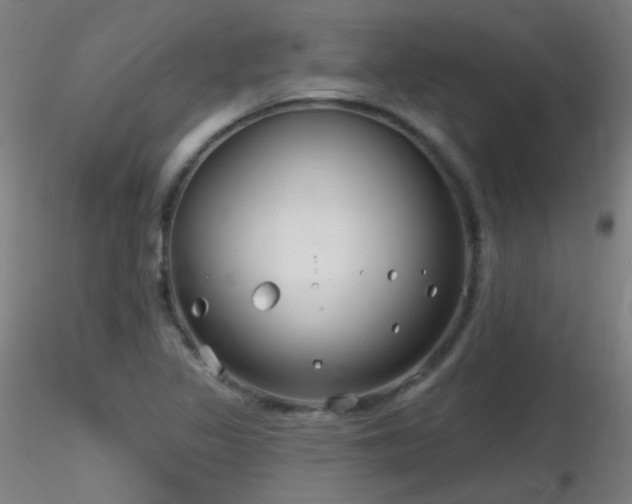 X0000116811317200912181335