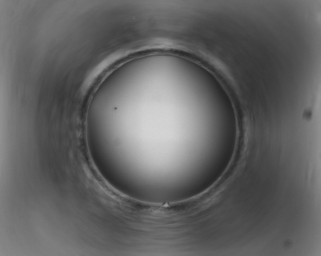 X0000116811318200912181335